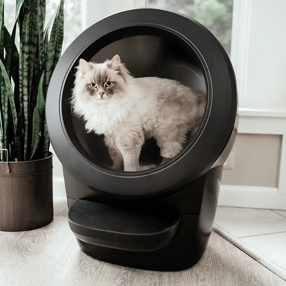 猫 自動トイレ 猫 自動トイレ