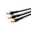 Outrunner Sunshineブラシレスローターモーター2200KV 31.5A