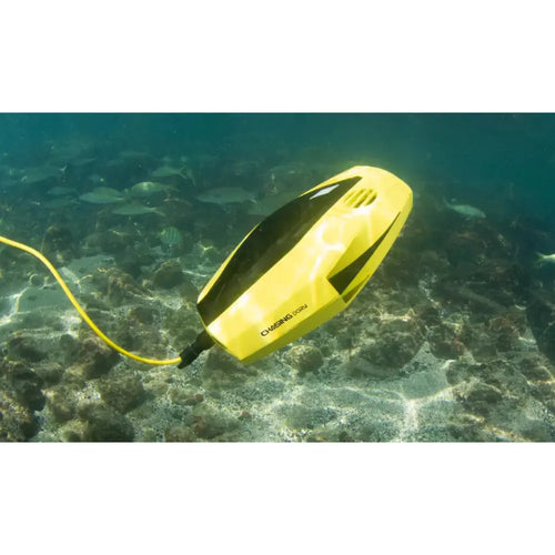 Chasing Dory 水中ドローン