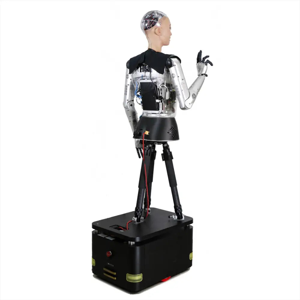 Hanson Robotics Sophia ロボット R＆Dバージョン