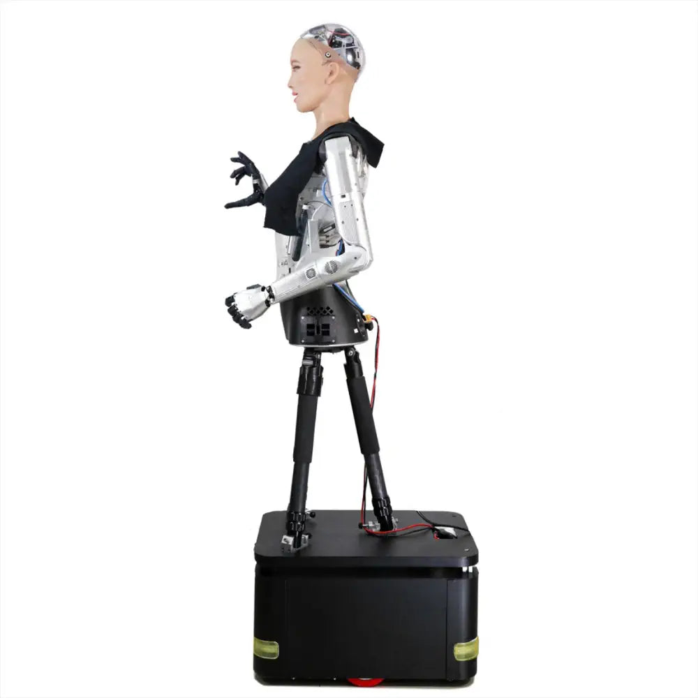 Hanson Robotics Sophia ロボット R＆Dバージョン