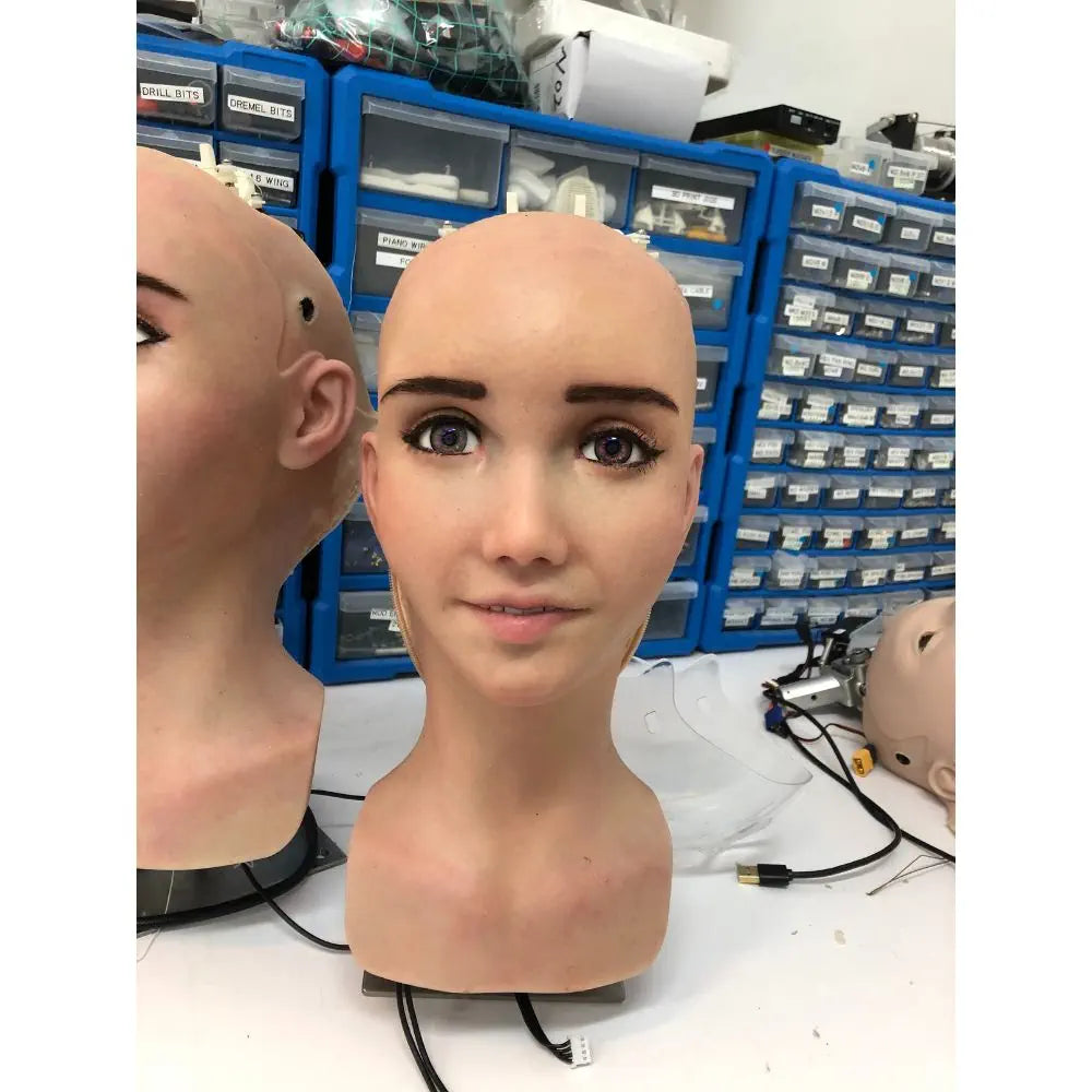 Hanson Robotics Sophia ロボット R&Dバージョン - RobotShop