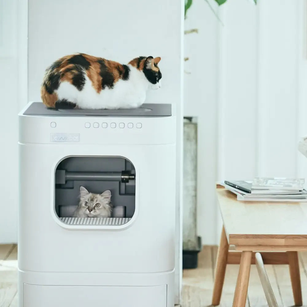 LavvieBot S 自動洗浄猫用【一部、部品破損有】 LavvieBot S 自動洗浄猫用【一部、部品破損有】