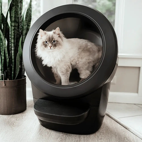 Litter Robot 4 Automatic Self Cleaning Litter Box Black JP RobotShop