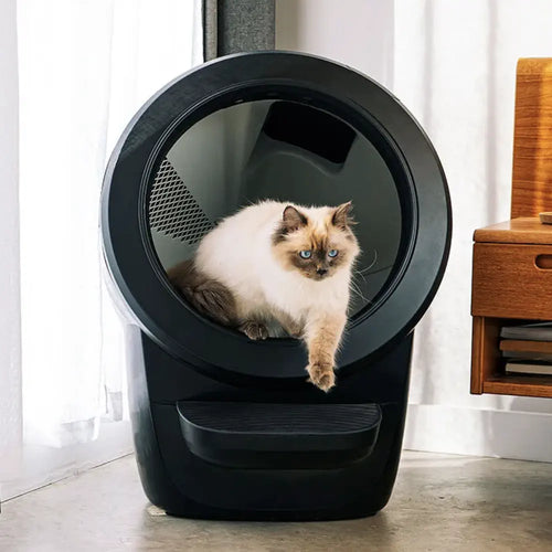 Cat self cleaning litter box hotsell