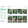 Grove Smart 農業向けセンサキット Microsoft FarmBeats用  (Raspberry Pi 4なし)