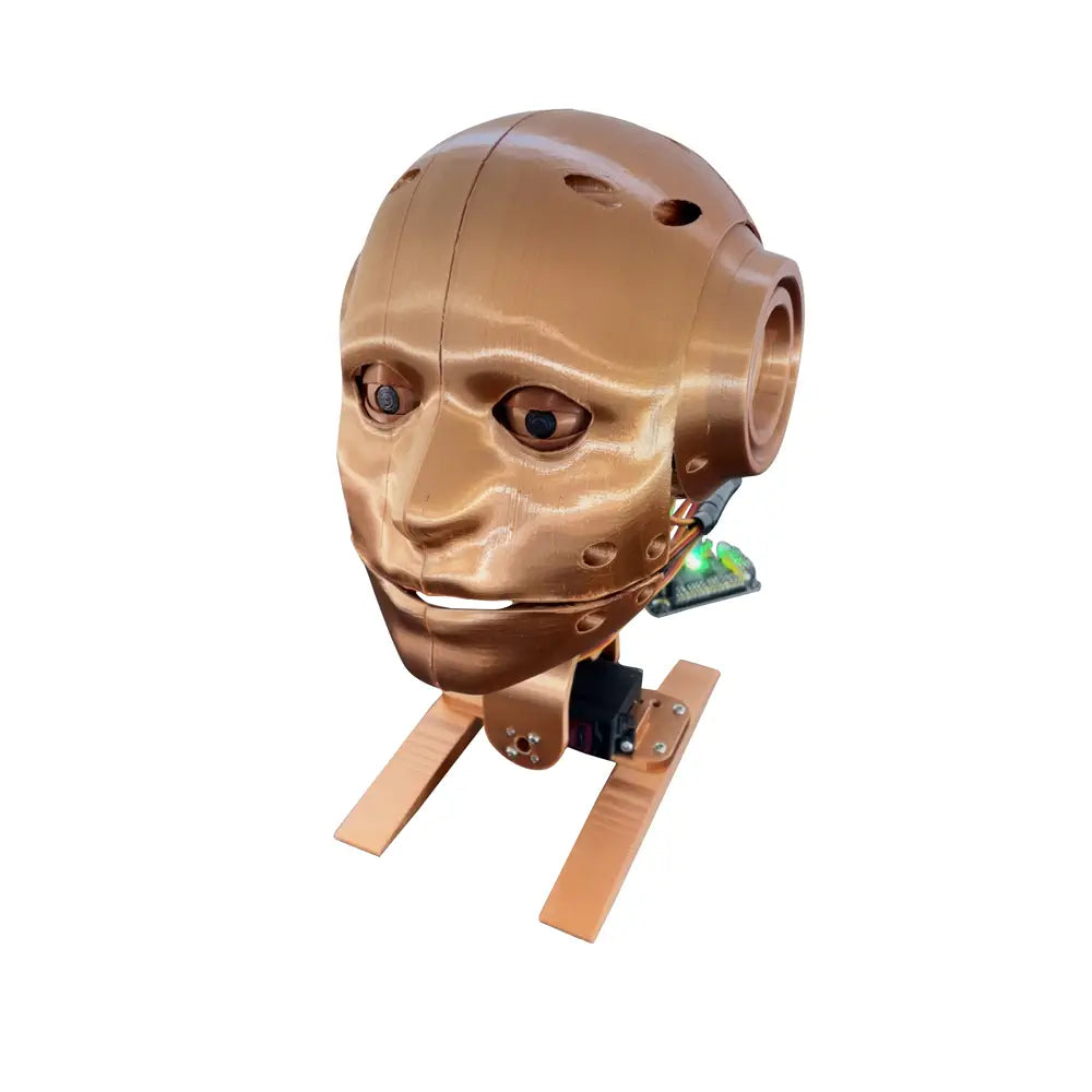 Youbionic ロボットヘッド