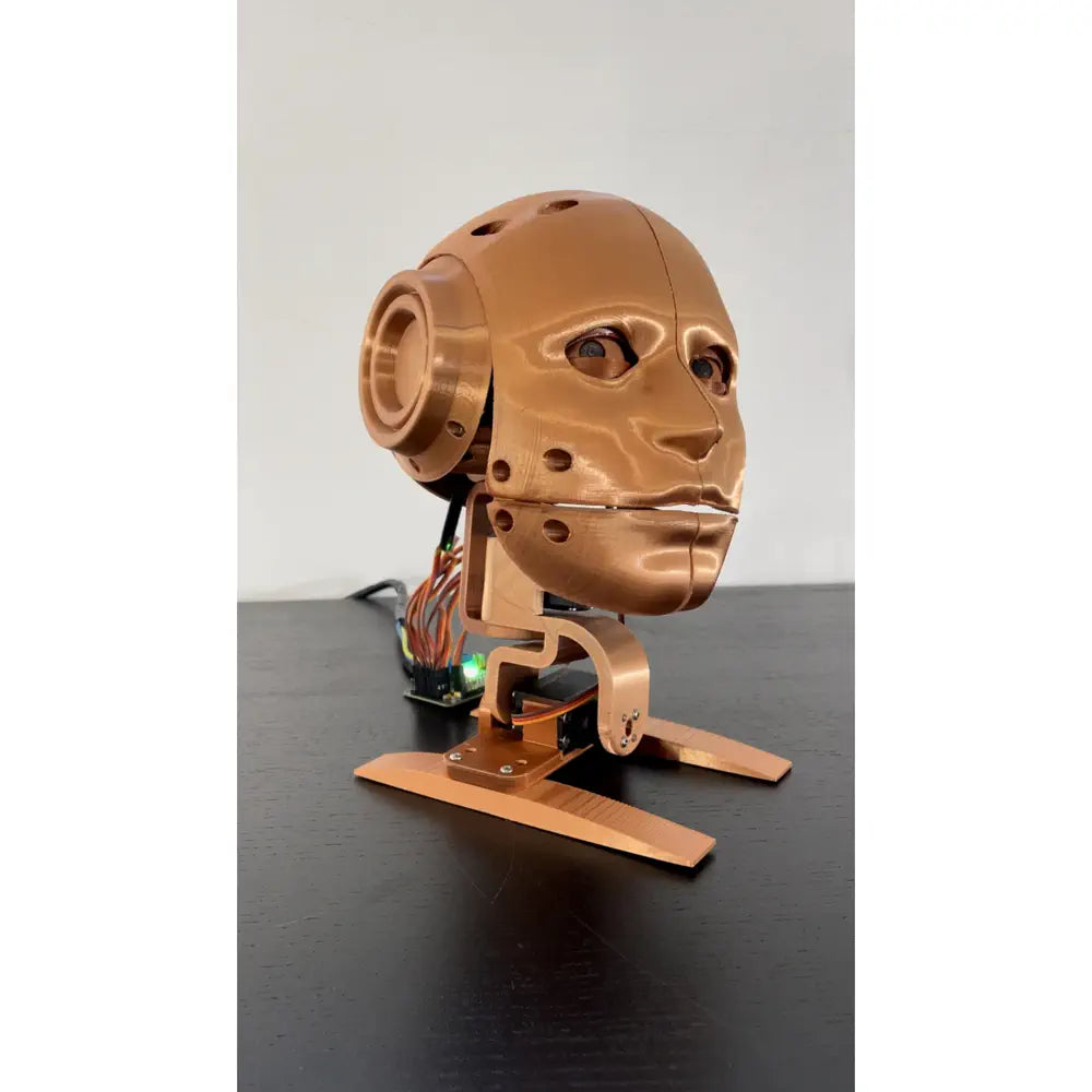 Youbionic ロボットヘッド