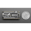 Adafruit Feather RP2040