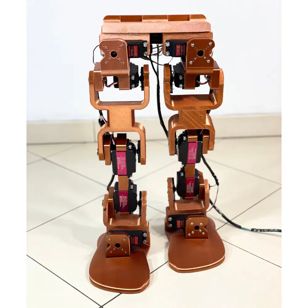Youbionic レッグ プロ