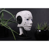 EZ-InMoov 高機能 ロボットヘッドキット