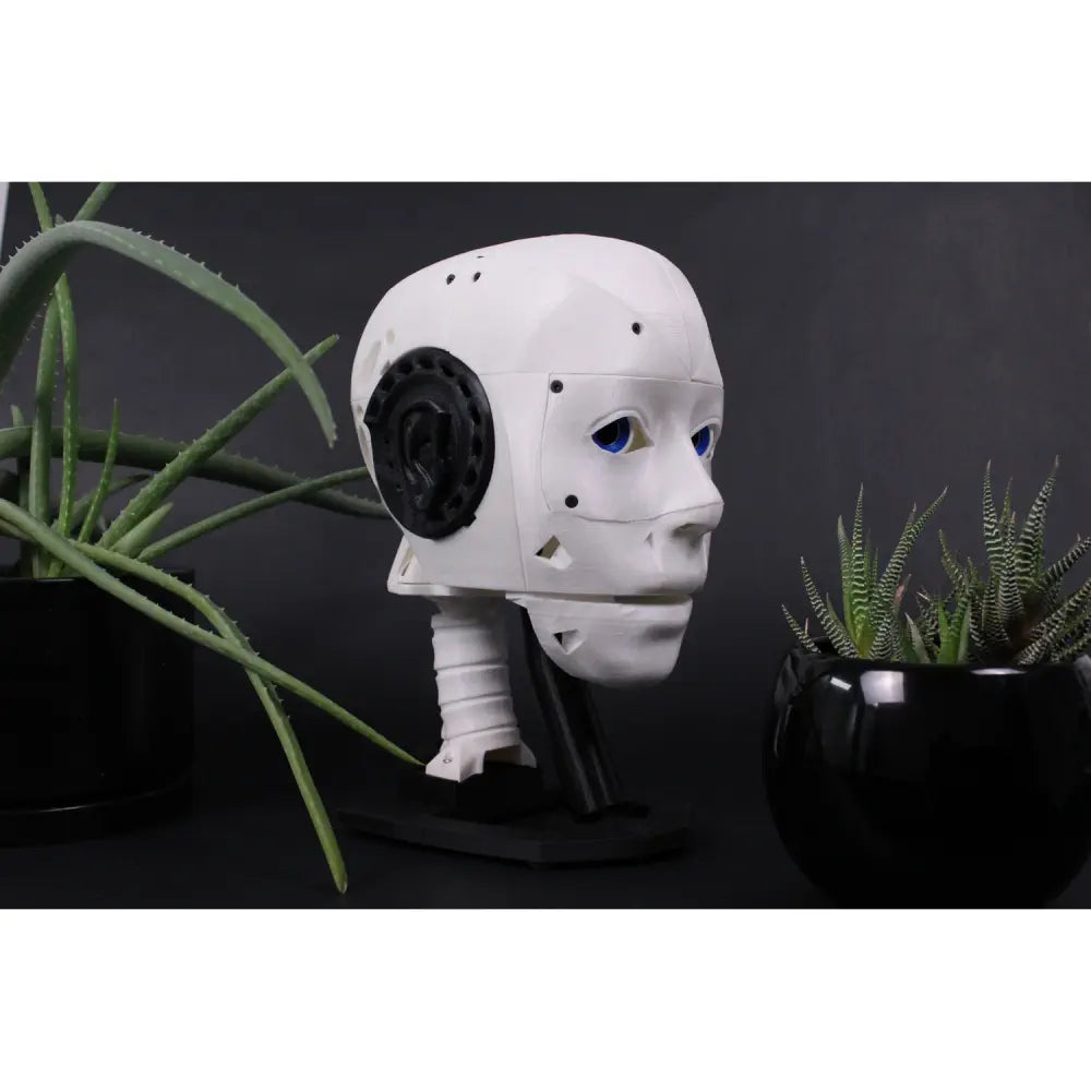 EZ-InMoov 高機能 ロボットヘッドキット