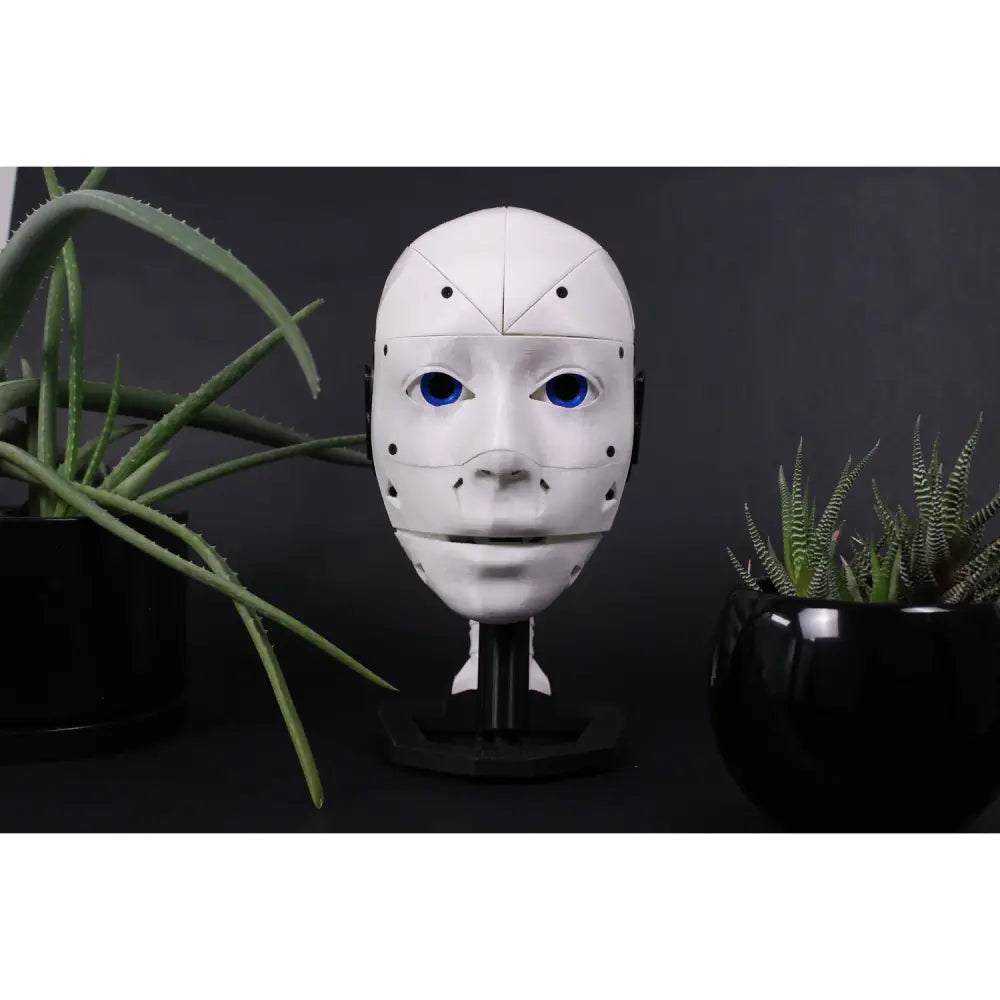 EZ-InMoov 高機能 ロボットヘッドキット