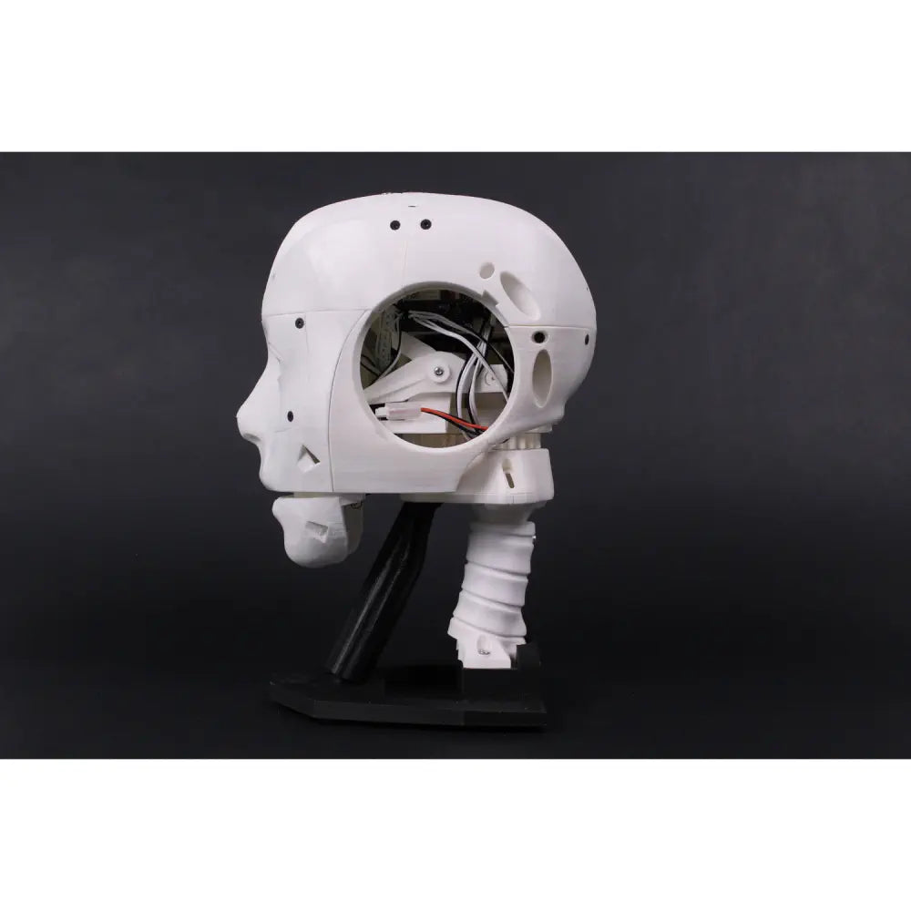 EZ-InMoov 高機能 ロボットヘッドキット