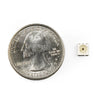 Sparkfun APA102C-5050 SMD アドレス指定可能 RGB LED (カットテープ)