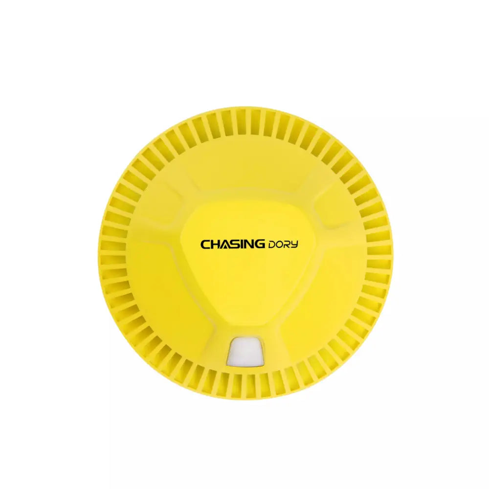 Chasing Dory 水中ドローン フラッシュパック
