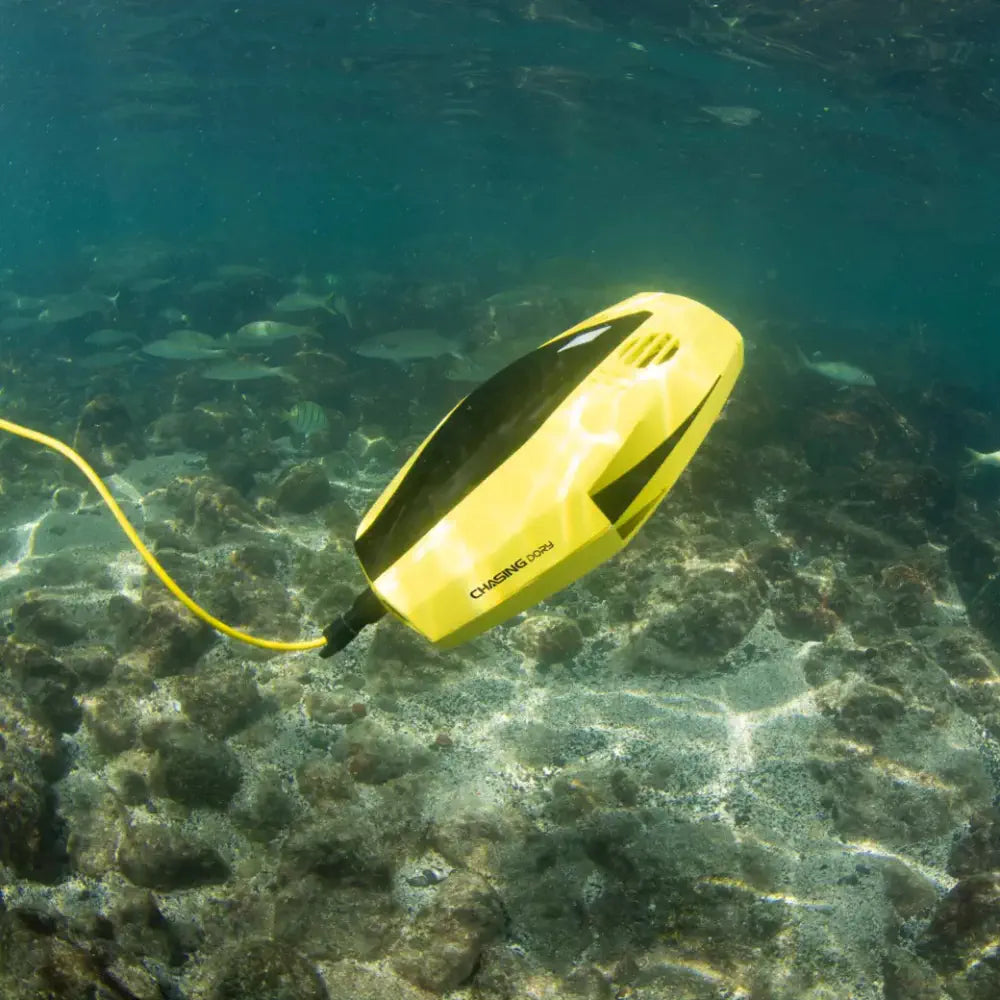 Chasing Dory 水中ドローン フラッシュパック