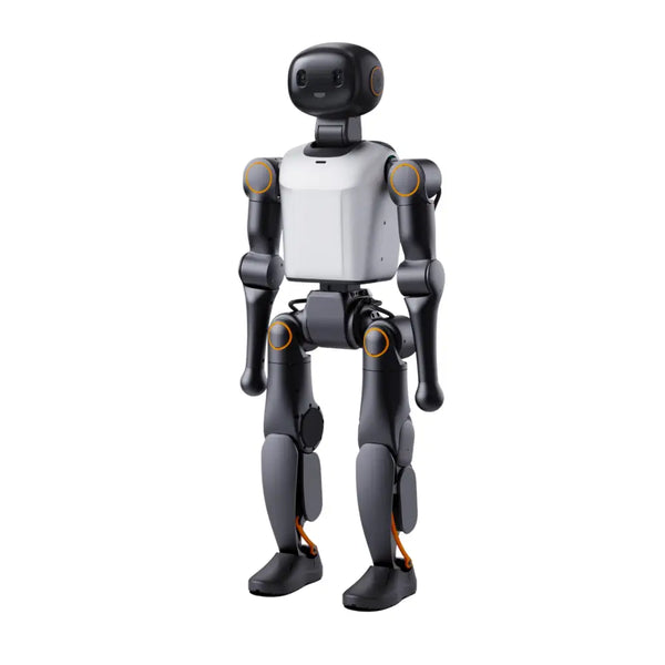 pp_4500800_grande.webp?v=