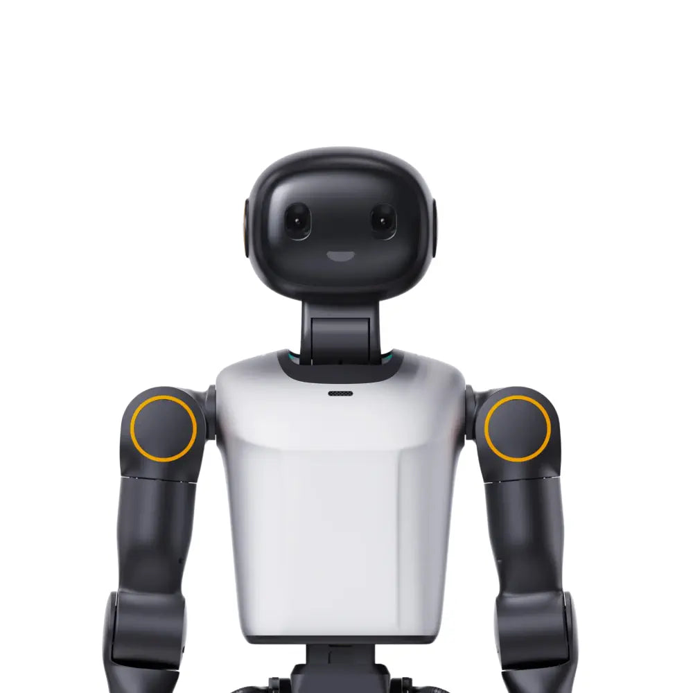 Booster Robotics K1 GEEK ヒューマノイドロボット - RobotShop
