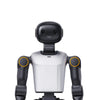 教育用ヒューマノイドロボット Booster Robotics K1