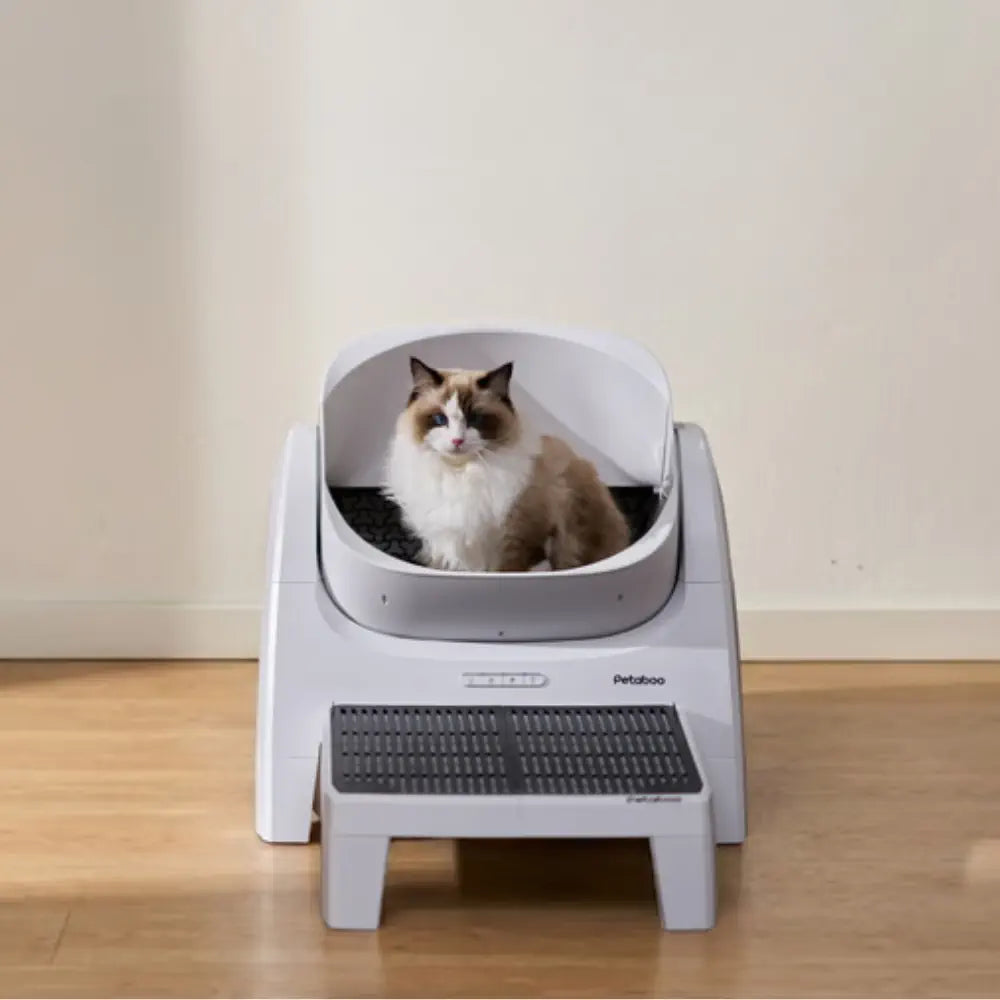 カメラ付き Petaboo 自動洗浄 AI 猫用トイレ