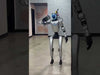 RBD-Hun-01 - Video