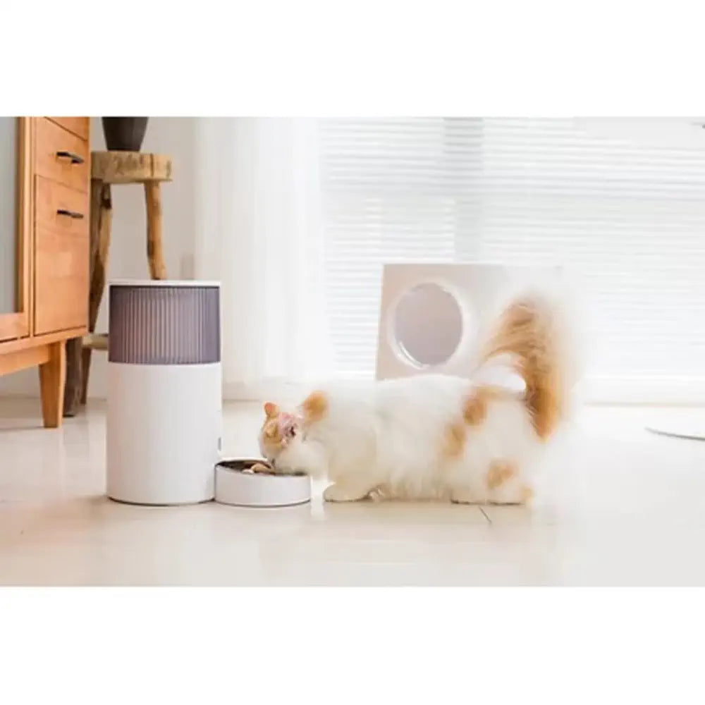 Instachew Purebite スマート ペットフィーダ (アプリ対応)