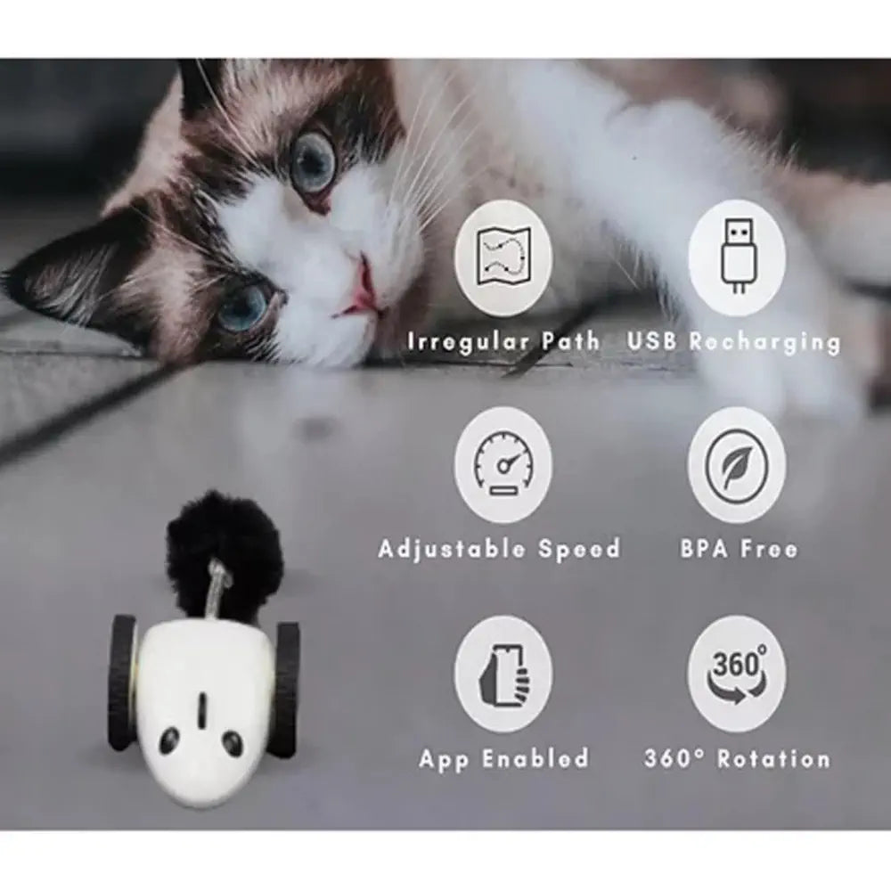 Instachew Purechase スマートペットトイ (アプリ対応)