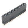 Raspberry Pi GPIO トールヘッダ - 2 x 20