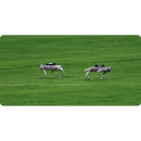 Unitree Go2 PRO ロボット犬