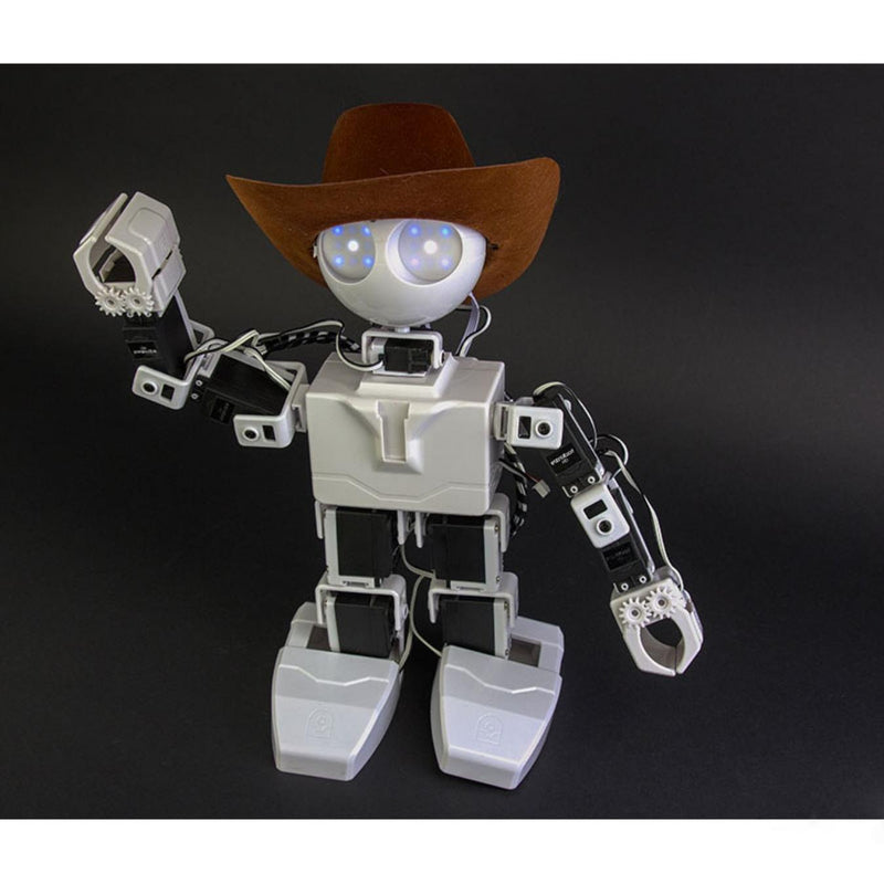 EZ-Robot JD ヒューマノイドロボット
